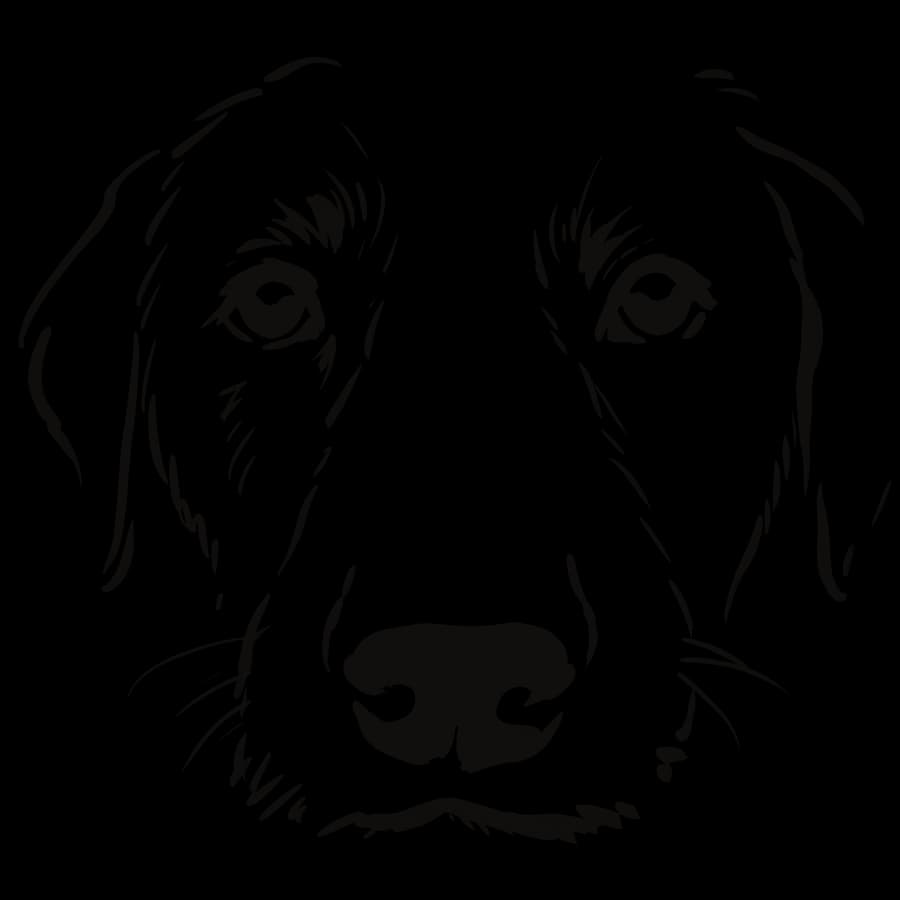 Lo stesso cane reso a poche linee di inchiostro nero